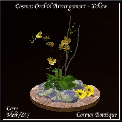 Cosmos Orchid Arrangement - Yellow  BOX