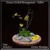 Cosmos Orchid Arrangement - Yellow  BOX
