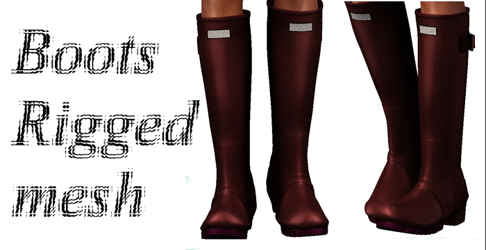 Boots rigged mesh@E.A