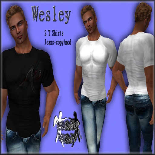 (N&N)Wesley