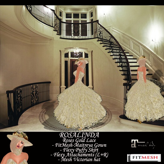 BIG SALE-ROSALINDA FITMESH MAITREYA GOWN-ROSES GOLD LACE