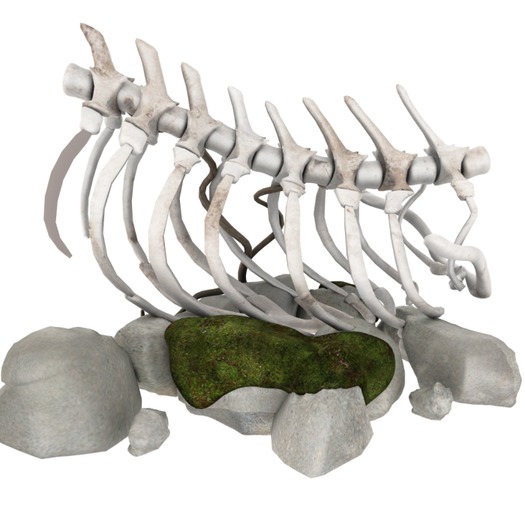 *May's Soul* Alchemy garden. Last dragon