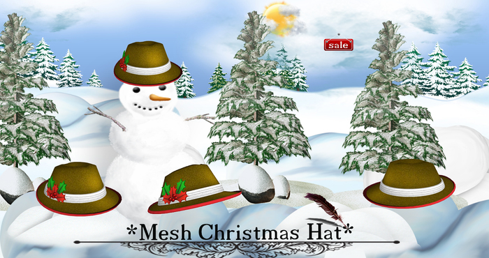 *Mesh Christmas Hat(modify&trasfert) v. 1