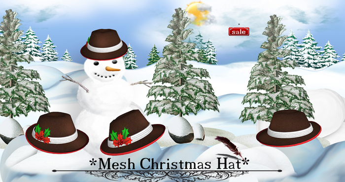 *Mesh Christmas Hat(modify&trasfert) v. 4