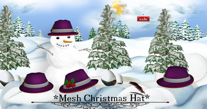 *Mesh Christmas Hat(modify&trasfert) v. 6