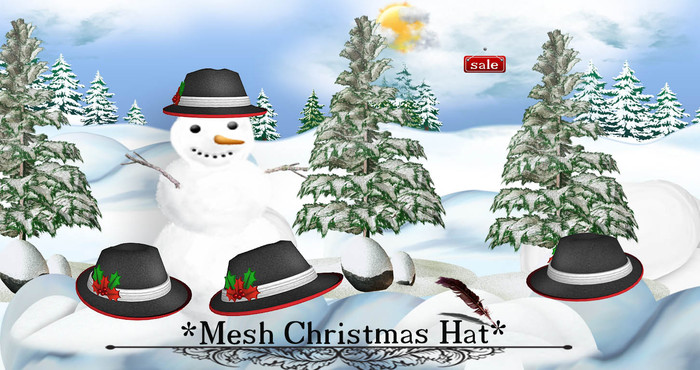 *Mesh Christmas Hat(modify&trasfert) v. 8