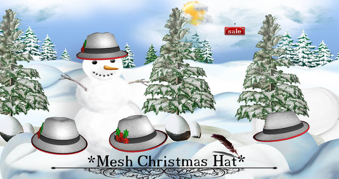 *Mesh Christmas Hat(modify&trasfert) v. 9