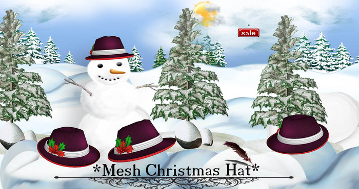 *Mesh Christmas Hat(modify&trasfert) v. 12