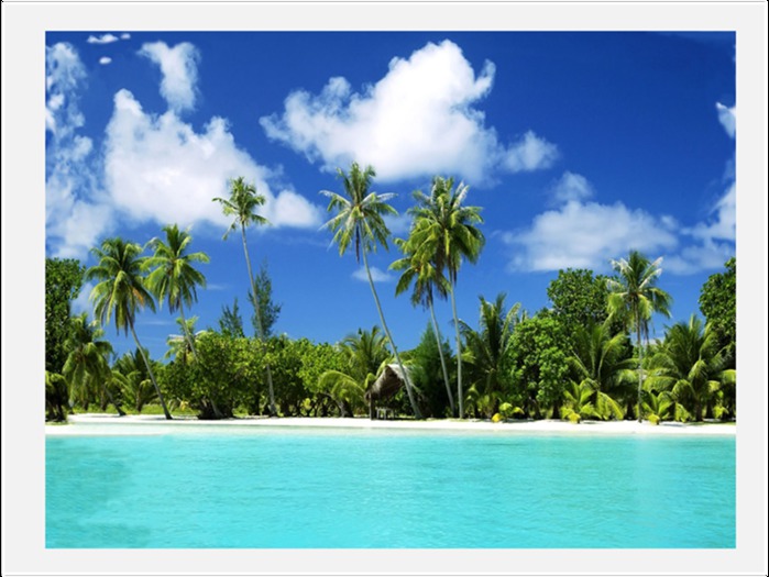 Imagem - Picture - Photo - Decor 044