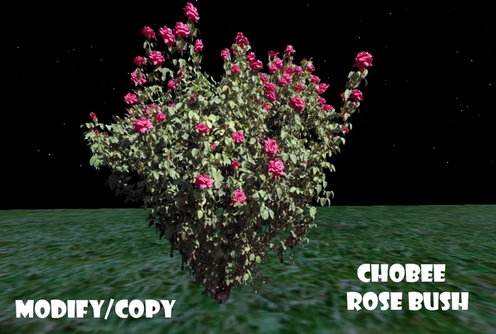 Rose Bush (Chobee) (Flexi)