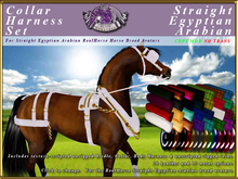 *E* Collar Harness Set [BOXED] RH Straight Egyptian Arabian