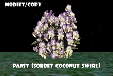 Pansy (Sorbet Coconut Swirl) (Flexi)