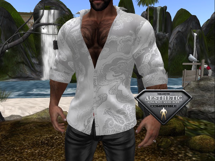 Silver Brocade half button up shirt