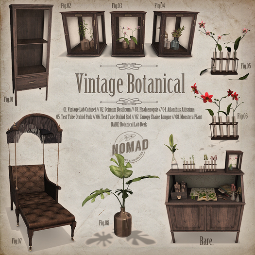 NOMAD // Botanical Lab Desk RARE