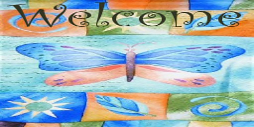 Pastel Butterfly Welcome Mat