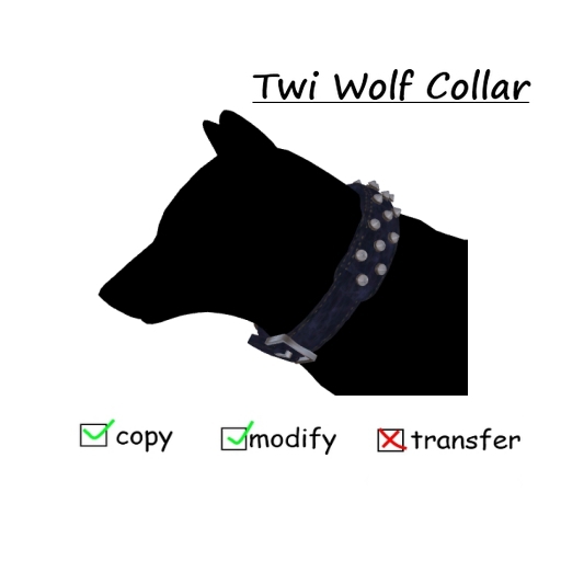 TWI dog collar Blue
