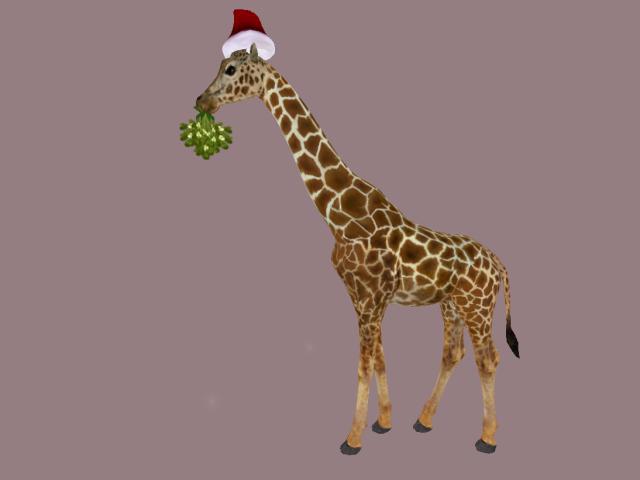 Christmas Mistletoe Giraffe