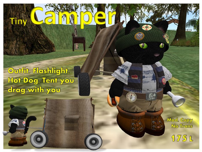 Tiny Camper Boy Box