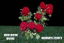 Red Rose Bush (Flexi)