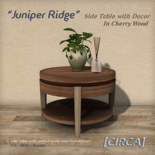 [CIRCA] Pkg - "Juniper Ridge" - Side Table with Decor