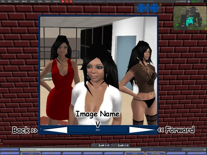Picture Album HUD ver. 1.1