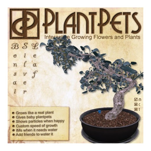 PlantPet Seed [Bonsai *SilverLeaf*] Box, Open Me