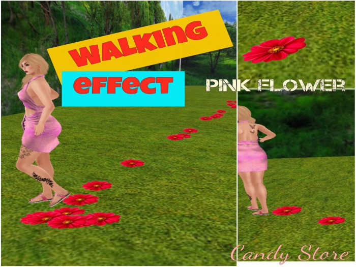walking effect -pink flower (Boxed)