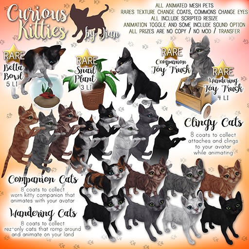 JIAN Curious Kitties :: Clinger Russian Blue BOX