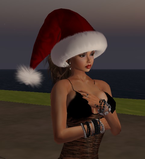 Christmas hat
