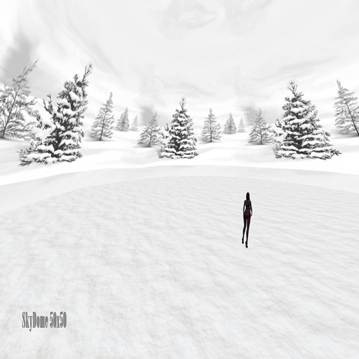 SKYDOME NEVE (SNOW)