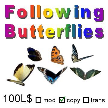 Following Butterflies