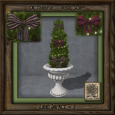 Potted Holiday Shrub Bt