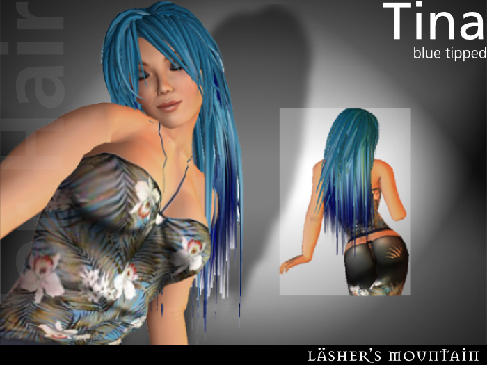 TINA Fine Long BLUE TIPPED HAIR