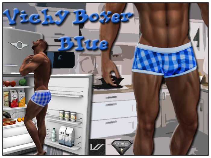 Vichy Blue boxer