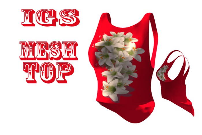 IGS   Red Top With Flowers 