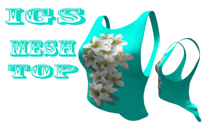 IGS Skyblue Top With Flowers
