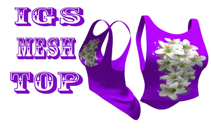 IGS   Purple Top With Flowers
