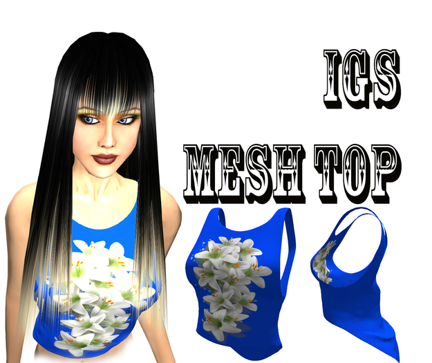 IGS   Blue Top With Flowers