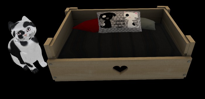 Cushion3 Cat UNISEX CAT&DOG