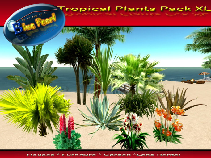 Tropical Plants Package XL