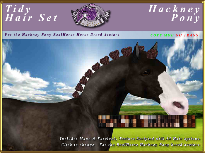 Second Life Marketplace *E* RealHorse Tidy Mane Set [BOXED] RH Hackney Pony