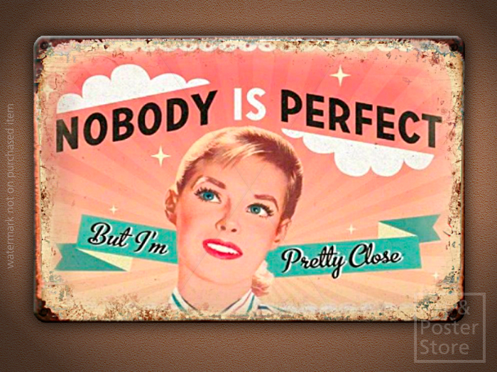 NOBODY IS PERFECT Retro Style Poster | Rusty Metal Style Wall Sign 