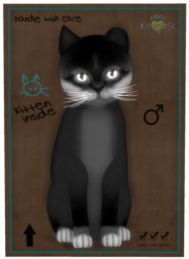 KittyCatS Box - Foxie - Soft Black