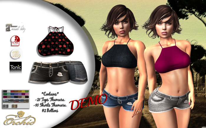 DEMO_Outfit Thamara HUD