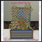 Cosmos Floral Trellis 2 Pink & Red ( BOX)