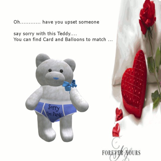 sorry im pants teddy