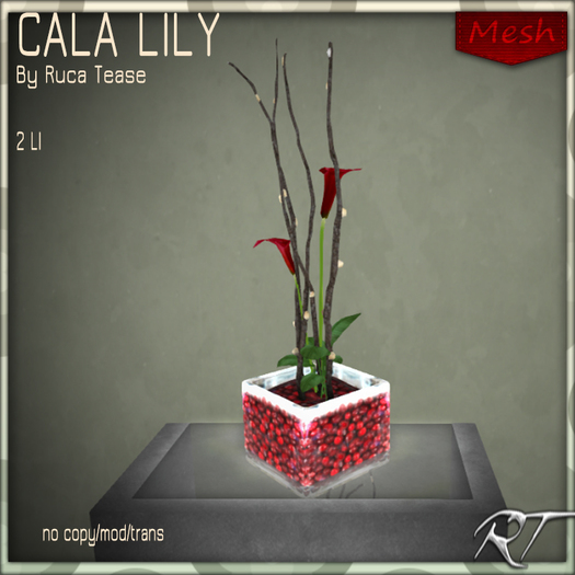 RT-CRANBERRY CALA LILY RED bagged