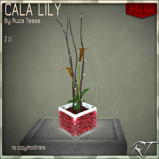 RT-CRANBERRY CALA LILY GOLD bagged
