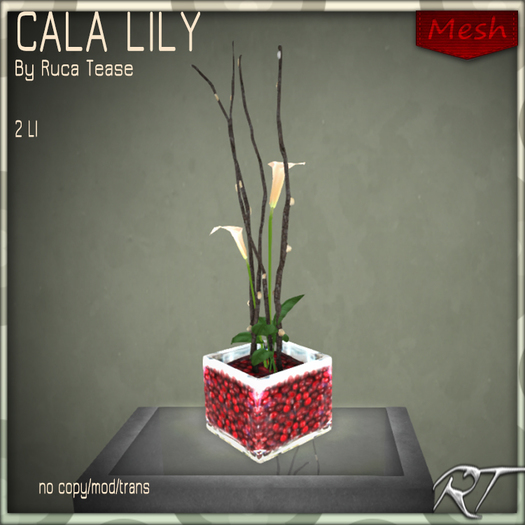RT-CRANBERRY CALA LILY IVORY bagged