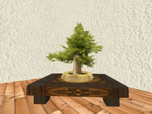 Bonsai III